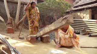 নরসিংদী জেলায় বিলুপ্ত ঐতিহ্যবাহী ঢেঁকি নরসিংদী জেলায় বিলুপ্ত ঐতিহ্যবাহী ঢেঁকি