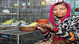 দুই নারীর সাফল্য দুই নারীর সাফল্য