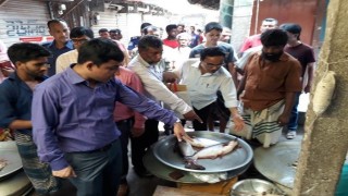 রায়পুরায় ভ্রাম্যমাণ আদালতের অভিযান, জরিমানা