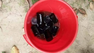 পলাশে আ’লীগ নেতার বাড়ির আঙ্গিনা থেকে ককটেল উদ্ধার