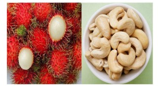 রাম্বুটান ও কাজুবাদাম চাষে ঋণ প্রদানের উদ্যোগ