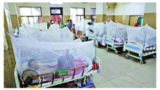 ২৪ ঘন্টায় নতুন করে ডেঙ্গু আক্রান্ত ১২৯৯, মারা গেছেন ৩ জন