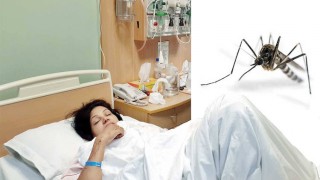 ডেঙ্গু রোগে আক্রান্ত ৩৩৩ স্বাস্থ্যকর্মী ও ১০৫ চিকিৎসক