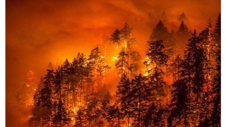 আমাজন বন রক্ষায় জি-৭ এর অনুদান প্রস্তাবে ব্রাজিলের না