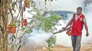 মশা নিধনের নতুন ঔষধ  প্রয়োগ শুরু