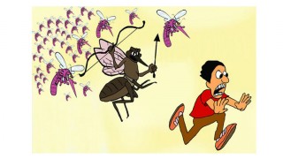 পলাশে ২ শিশুসহ ১৪ ডেঙ্গু রোগী শনাক্ত