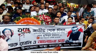 পলাশে জাতীয় শোক দিবস পালিত