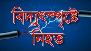 মশা নিধন করতে গিয়ে যুবকের মৃত্যু
