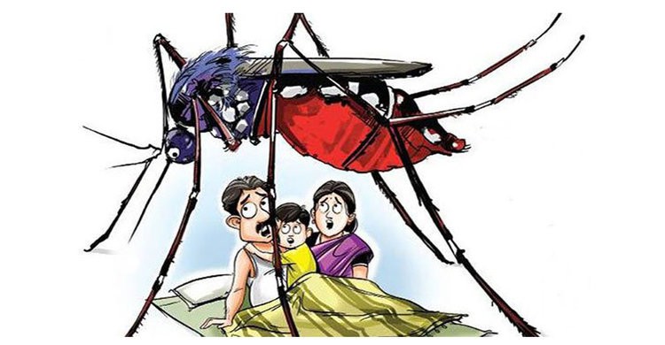 রাজধানীতে মশার অত্যাচারে অতিষ্ট হয়ে থানায় জিডি রাজধানীতে মশার অত্যাচারে অতিষ্ট হয়ে থানায় জিডি
