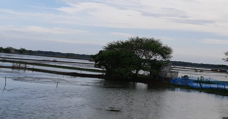 আমার যত ঘুরাঘুরি : সাতক্ষীরা ,মাহিনুর জাহান নিপু