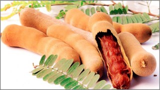 শুধু জিভে পানি নয় তেঁতুলের রয়েছে বহু গুণ