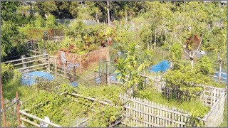 কবরবাসীর জন্য জীবিতদের করণীয় আমল কবরবাসীর জন্য জীবিতদের করণীয় আমল