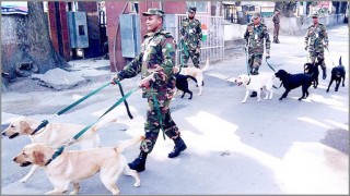 সেনাবাহিনীকে প্রশিক্ষণপ্রাপ্ত ১০টি কুকুর দিল ভারত!