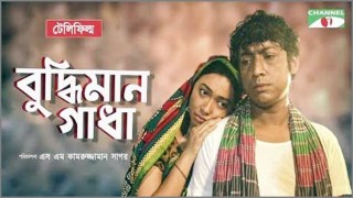 ইউটিউবে ‘বুদ্ধিমান গাধা’