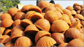 শীতে গুড় খাওয়ার উপকারিতা...