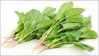 পুষ্টিগুণে ভরপুর পালং শাকের উপকারিতা