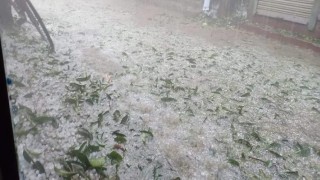 বেলাব ও মনোহরদীতে শিলাবৃষ্টি ও ঝড়ে ফসলের ক্ষতি