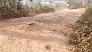 নরসিংদীর পাঁচদোনা-ডাঙ্গা-ঘোড়াশাল সড়কের বেহাল দশা