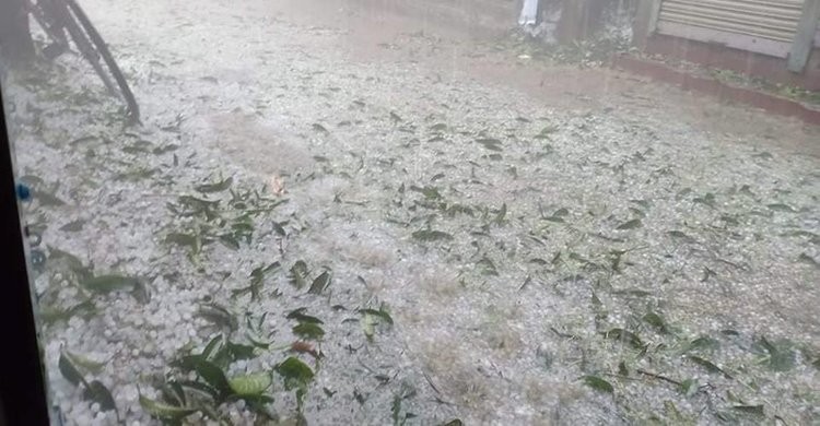 বেলাব ও মনোহরদীতে শিলাবৃষ্টি ও ঝড়ে ফসলের ক্ষতি বেলাব ও মনোহরদীতে শিলাবৃষ্টি ও ঝড়ে ফসলের ক্ষতি