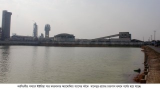 পলাশে সার কারখানার নির্গত গ্যাসের বিষাক্ততায় হুমকির মুখে পরিবেশ