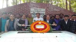 নানা কর্মসূচীর মধ্যদিয়ে শহীদ আসাদ দিবস পালন