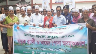 পলাশে জাতীয় মৎস্য সপ্তাহের উদ্বোধন