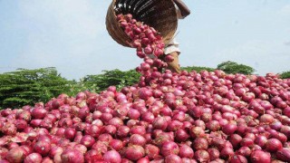 ১৫ দিনের মধ্যে কমবে পেয়াজের দাম: বাণিজ্যমন্ত্রী