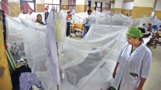 বাড়ছে ডেঙ্গুর ভয়াবহতা, ২৪ ঘন্টায় আক্রান্ত ১৩৩৫