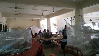 নরসিংদীতে ২১ ডেঙ্গু রোগী শনাক্ত, জেলাজুড়ে ডেঙ্গু আতংক