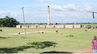 পলাশে ইটভাটার অবৈধ দখলে ৩৫ বিঘা কৃষিজমি, বিপাকে কৃষকরা