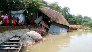 রায়পুরায় মেঘনা নদীতে ভাঙন: বিলীন হচ্ছে ঘরবাড়ি ও ফসলি জমি