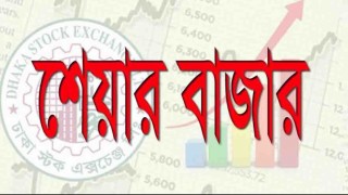মুখ থুবড়ে পড়েছে শেয়ার বাজার