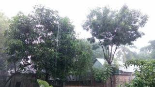 নরসিংদীতে এক পশলা বৃষ্টিতে স্বস্তি