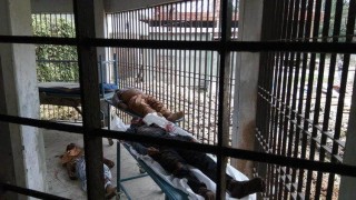 শিবপুরে দুই সড়ক দুর্ঘটনায় গ্যাস ফিল্ড কর্মকর্তাসহ তিনজন নিহত