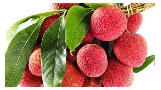 যে কারণে খালি পেটে লিচু খাবেন না