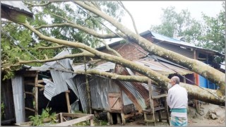 ঘূর্ণিঝড় বুলবুলের তাণ্ডবে ৮ জেলায় ১৩ জন নিহত