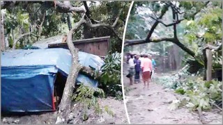 বুলবুলের তাণ্ডবে নিহত-৪