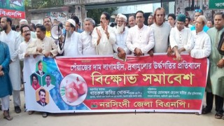 পেঁয়াজের দাম বৃদ্ধির প্রতিবাদে নরসিংদীতে বিএনপির বিক্ষোভ সমাবেশ পেঁয়াজের দাম বৃদ্ধির প্রতিবাদে নরসিংদীতে বিএনপির বিক্ষোভ সমাবেশ