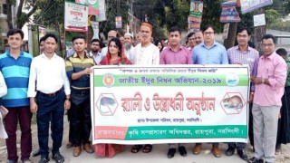 জাতীয় ইঁদুর নিধন অভিযান উপলক্ষে রায়পুরায় র্যালী জাতীয় ইঁদুর নিধন অভিযান উপলক্ষে রায়পুরায় র্যালী