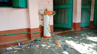 মাধবদীতে ইউপি মেম্বারের সন্ত্রাসী বাহিনীর বিরুদ্ধে যত অভিযোগ