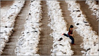 সিরিয়ায় ২৯ হাজার শিশু নিহত