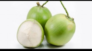 ১১টি রোগের ওষুধ ডাবের পানি ১১টি রোগের ওষুধ ডাবের পানি