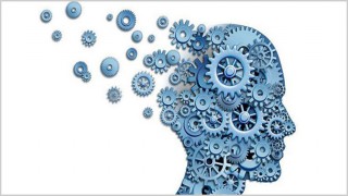 জানুন আপনার স্মরণশক্তি বাড়ানোর কিছু উপায়