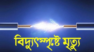 মাধবদীতে বিদ্যুৎস্পৃষ্ট শ্রমিকের মৃত্যু মাধবদীতে বিদ্যুৎস্পৃষ্ট শ্রমিকের মৃত্যু