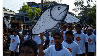 বরগুনায় অনুষ্ঠিত হলো ইলিশ উৎসব