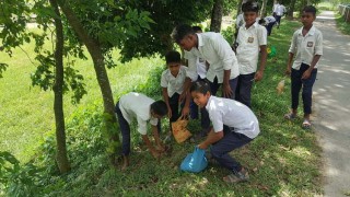 পাইকারচরে তালবীজ রোপন কর্মসূচীতে উদ্বুদ্ধ হচ্ছে শিক্ষার্থীরা পাইকারচরে তালবীজ রোপন কর্মসূচীতে উদ্বুদ্ধ হচ্ছে শিক্ষার্থীরা