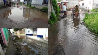 মাধবদীর নওপাড়ার রাস্তাগুলোর বেহাল দশা, জনদুর্ভোগ চরমে