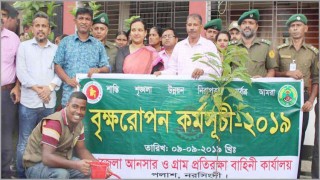 পলাশ আনসার ভিডিপি কার্যালয়ে বৃক্ষরোপণ কর্মসূচী 