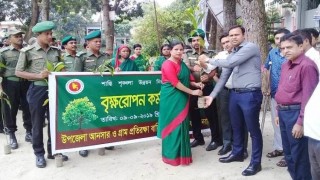 শিবপুরে আনসার ও গ্রাম প্রতিরক্ষাবাহিনী’র বৃক্ষরোপন কর্মসূচী