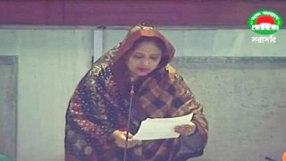 নরসিংদীতে অর্থনৈতিক অঞ্চল প্রতিষ্ঠার দাবি সংসদে উত্থাপন করলেন এমপি বুবলি